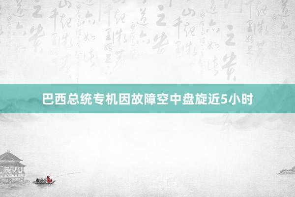 巴西总统专机因故障空中盘旋近5小时