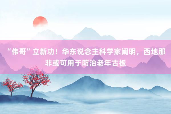 “伟哥”立新功！华东说念主科学家阐明，西地那非或可用于防治老年古板