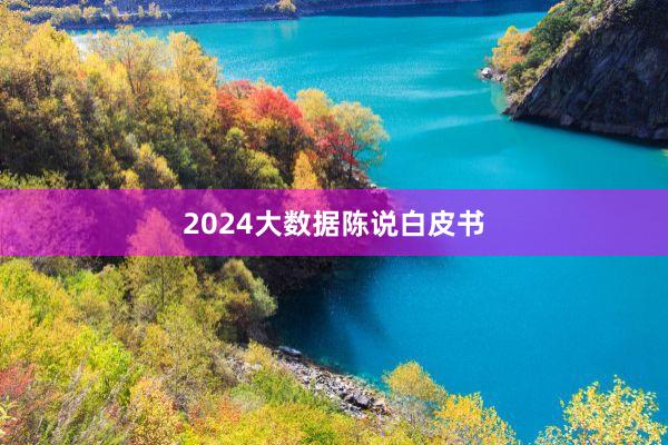 2024大数据陈说白皮书