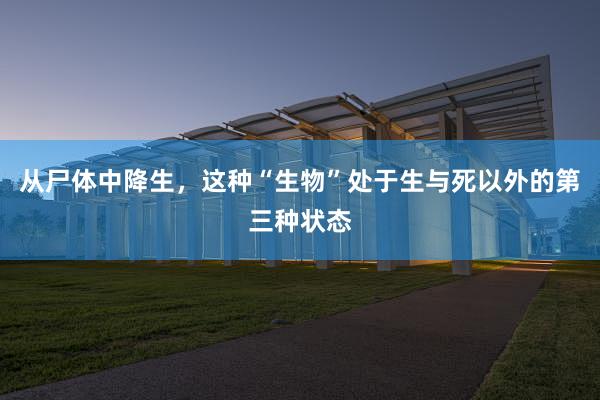 从尸体中降生，这种“生物”处于生与死以外的第三种状态