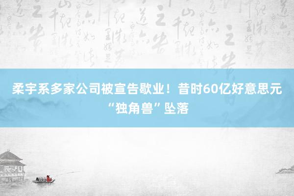 柔宇系多家公司被宣告歇业！昔时60亿好意思元“独角兽”坠落