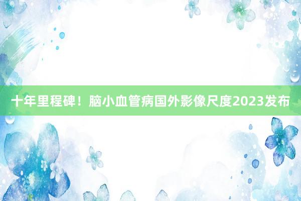 十年里程碑！脑小血管病国外影像尺度2023发布