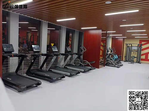 v00008威尼斯完成的济南某部门单位健身房